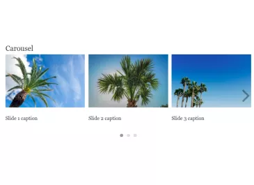 Extra Paragraph Types (EPT): Carousel